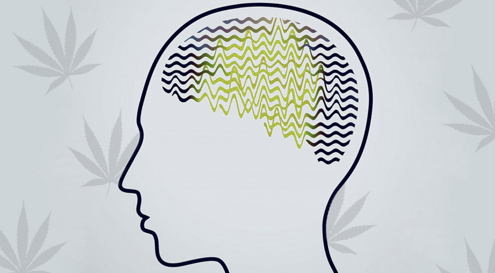 How Medical Marijuana Can Help With Epilepsy – FadeMD Blog