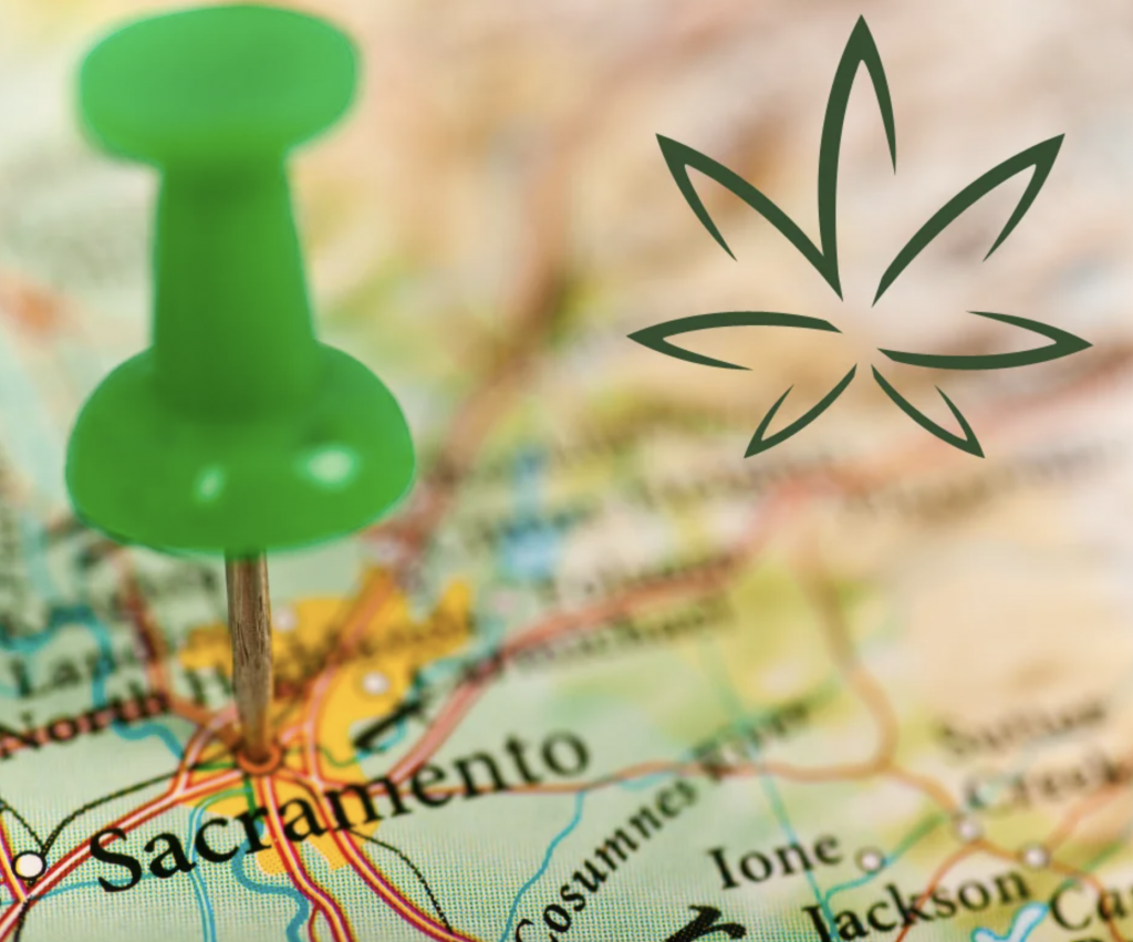 Retail and Medical Cannabis Jobs Are a Hit – FadeMD Blog