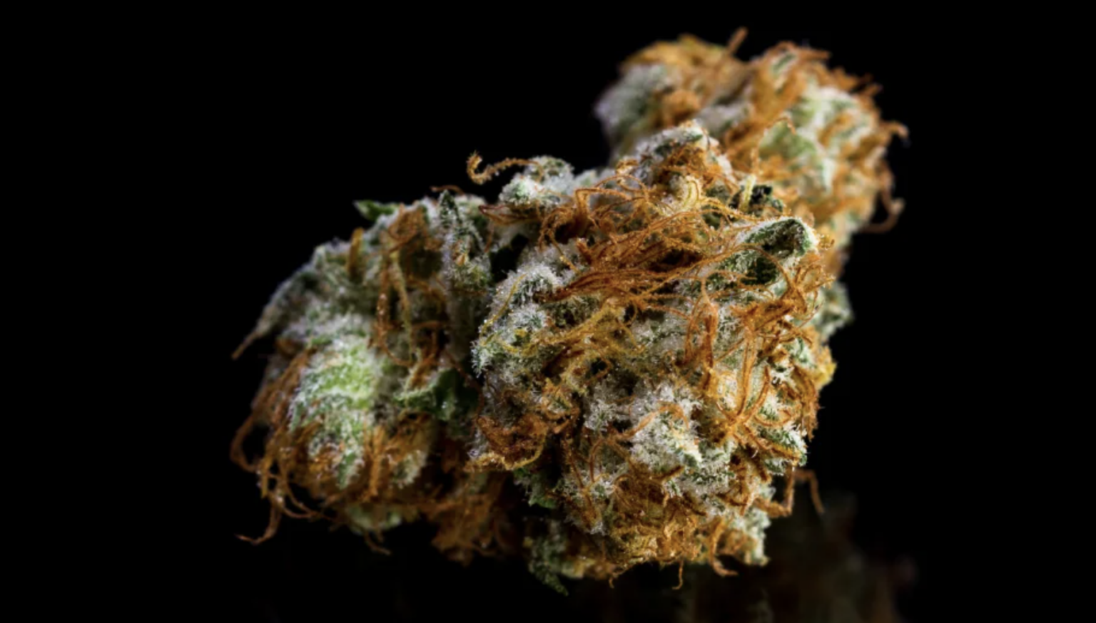 Popular Medical Cannabis Strains of 2022 FadeMD Blog