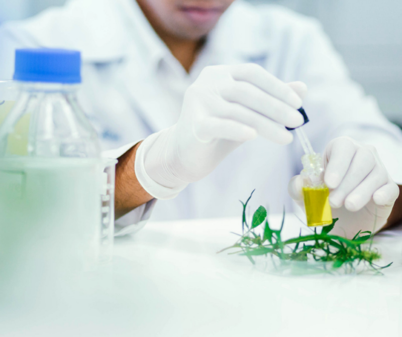 What Do Cannabis Testing Labs Do? – FadeMD Blog